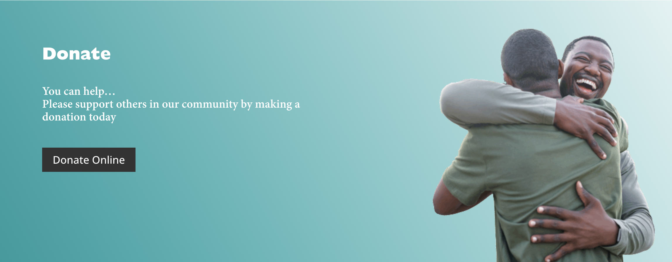 DonateBICSV Screen grab of BICSV Donate page header